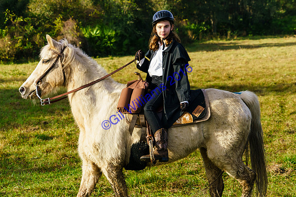 GilWms-160122-01419