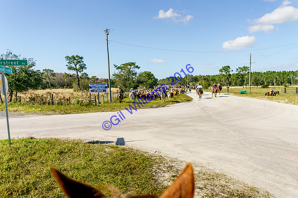 GilWms-160122-01750