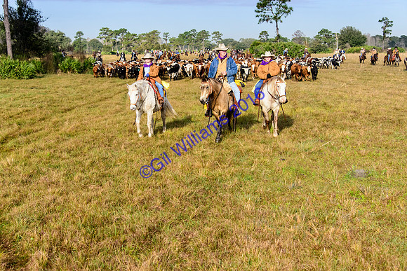 GilWms-160122-01325