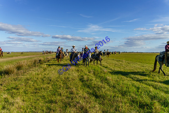 GilWms-160122-01944