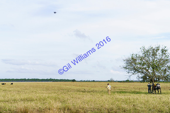 GilWms-160122-03535