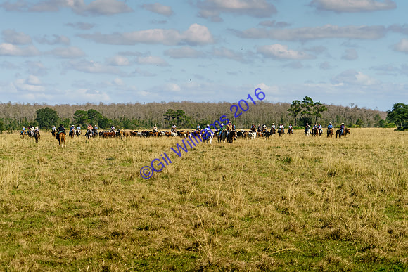GilWms-160122-01695