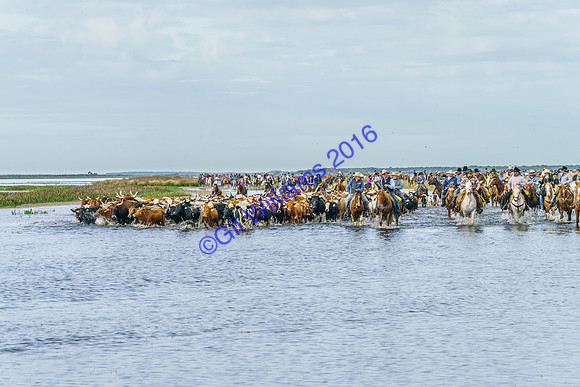 GilWms-160122-02692