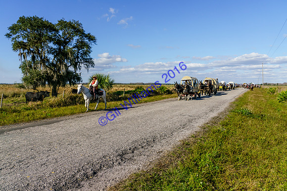 GilWms-160122-01825