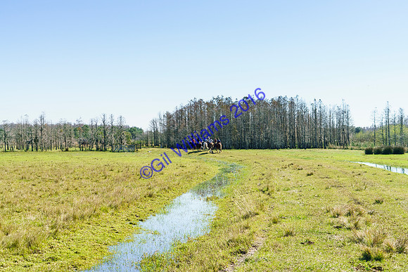 GilWms-160122-01452