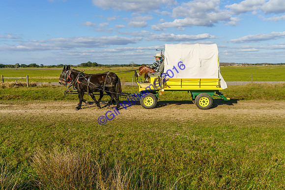 GilWms-160122-01908