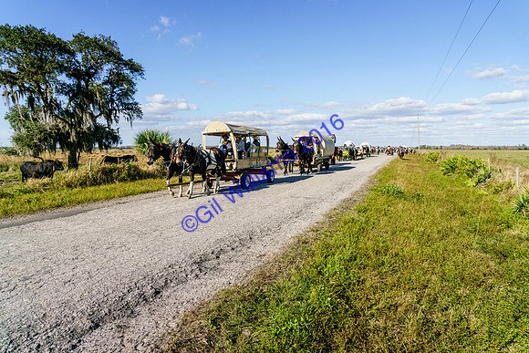 GilWms-160122-01829