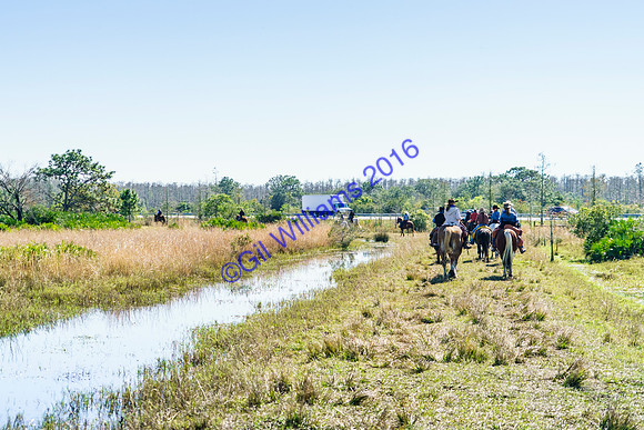 GilWms-160122-01483