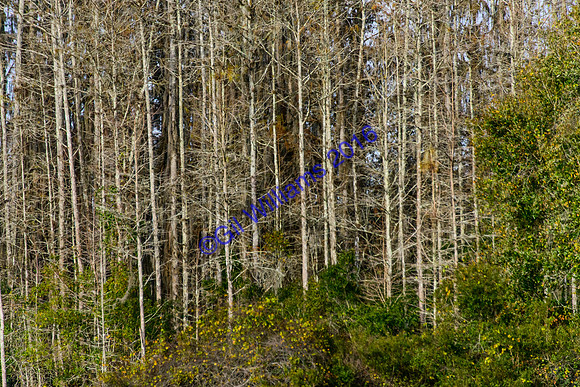 GilWms-160122-01376