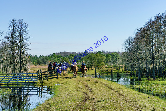 GilWms-160122-01456