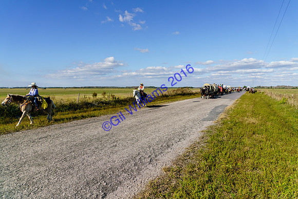 GilWms-160122-01822