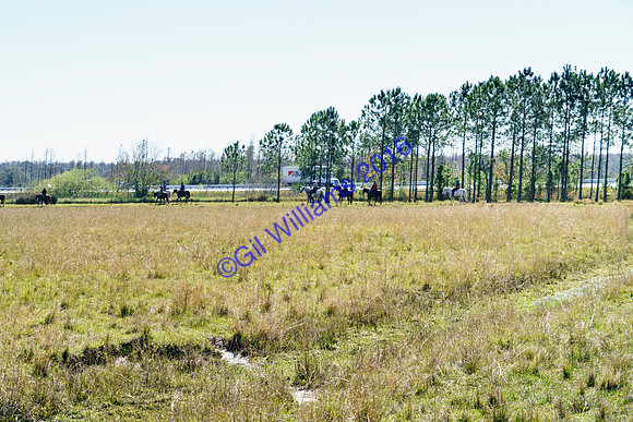 GilWms-160122-01445