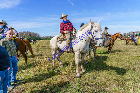 GilWms-160122-09228