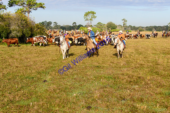 GilWms-160122-01328