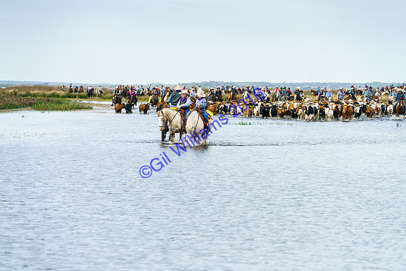 GilWms-160122-02681