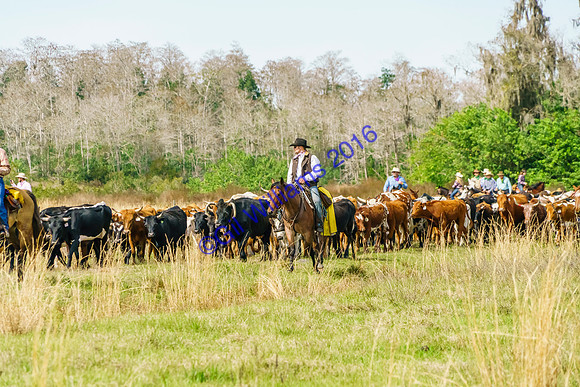 GilWms-160122-08964