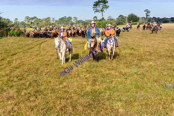 GilWms-160122-01322