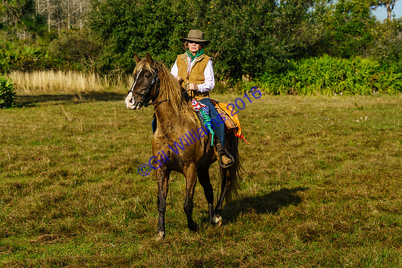 GilWms-160122-01425