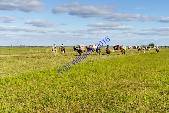 GilWms-160122-01895
