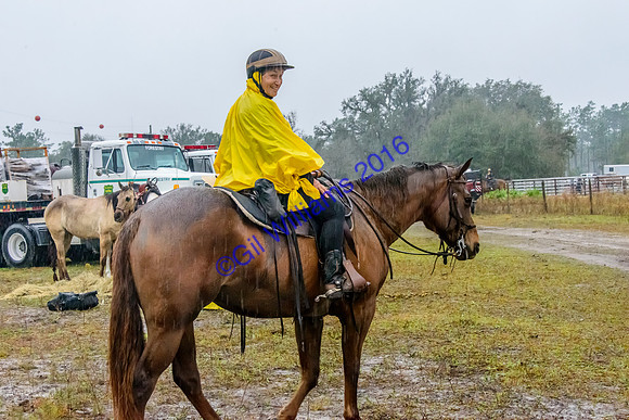 GilWms-160122-04842