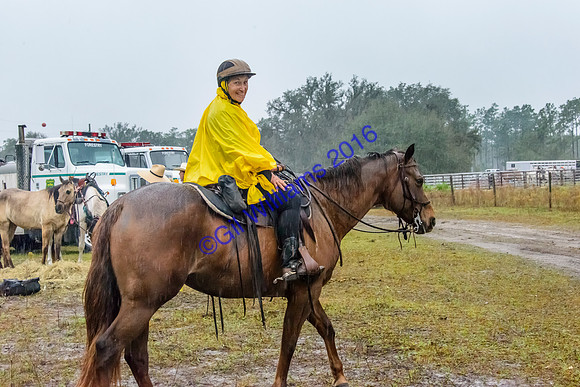 GilWms-160122-04843